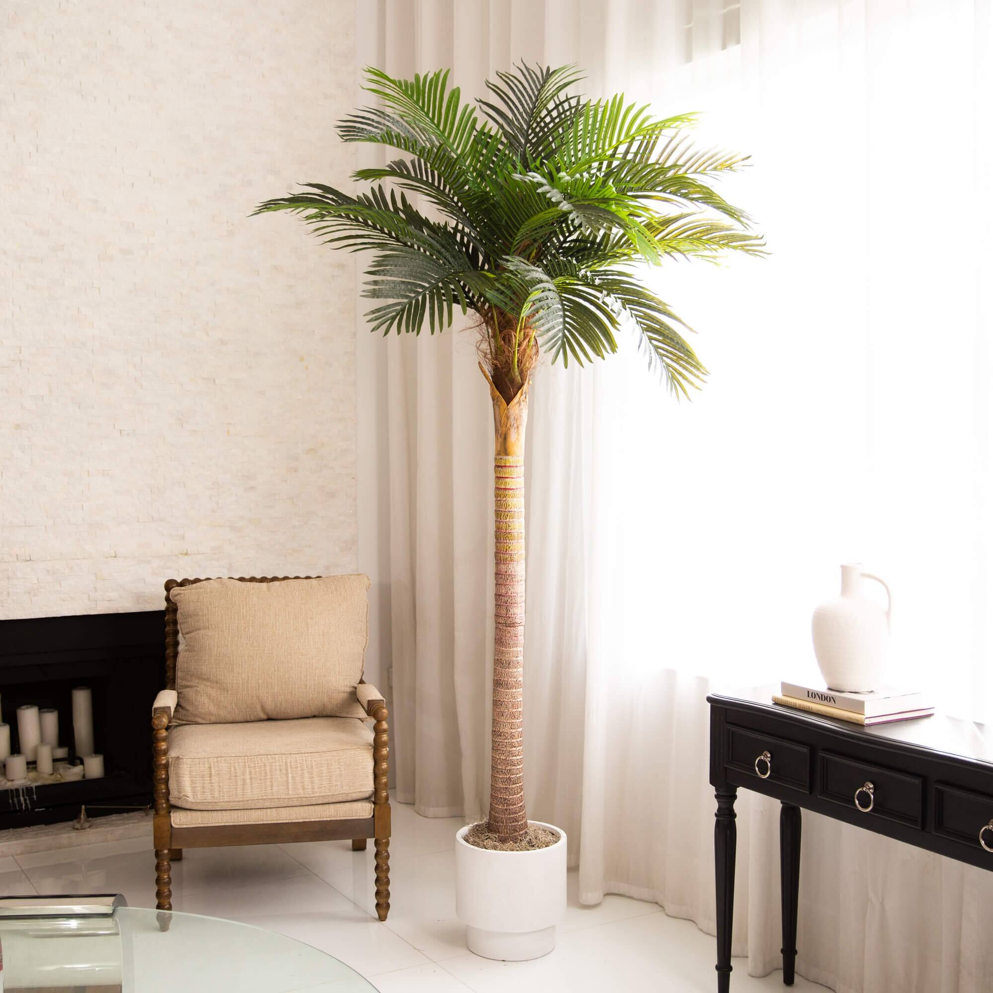 8ft. Potted Coconut Palm Tree